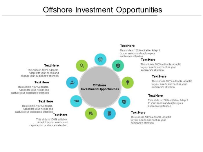 Offshore Investment Opportunities